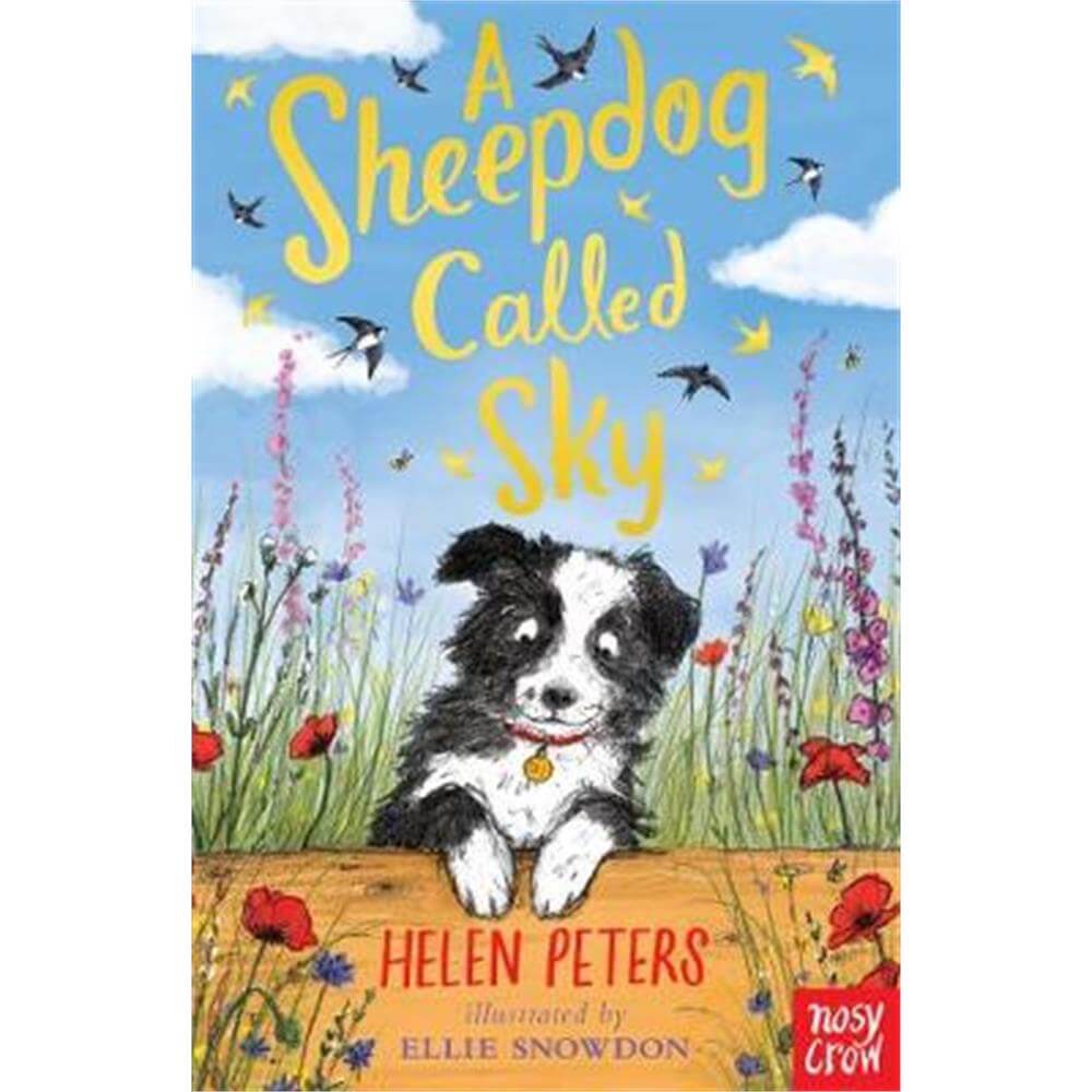 A Sheepdog Called Sky (Paperback) - Helen Peters